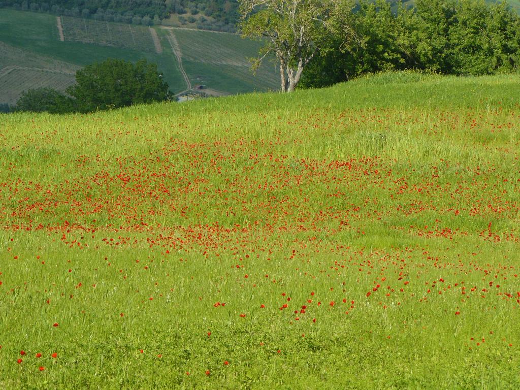 Il Palazzo Dei Diavoli Villa Montepulciano Stazione Eksteriør billede